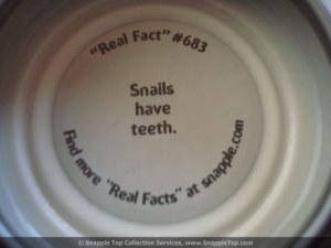 snapple fact4